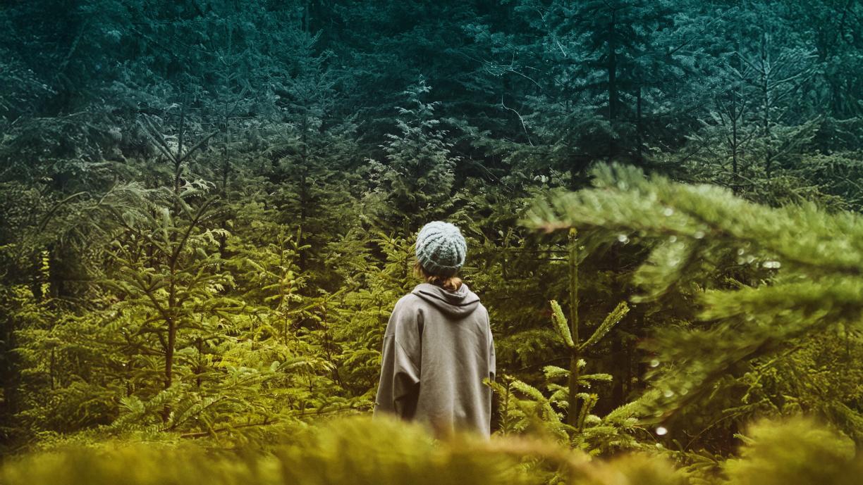 Ihminen seisoo tiheän metsän edessä selin ja katsoo kohti metsää.