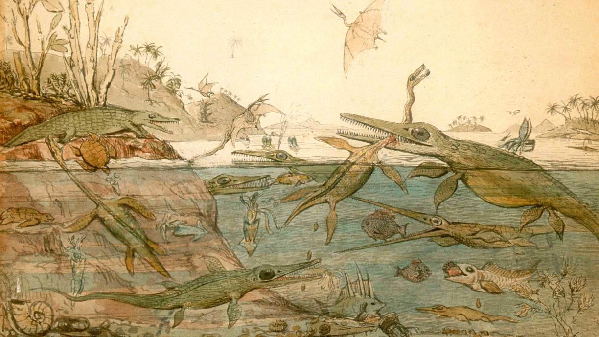 Pehmeäsävyinen maalaus, jossa erilaisia vesi- ja maaeläimiä sekä pari lentävää liskoa parveilee avarassa maisemassa. Suurin osa eläimistä muistuttaa hieman krokotiilia: ne ovat vihertäviä ja niillä on pitkä kuono.