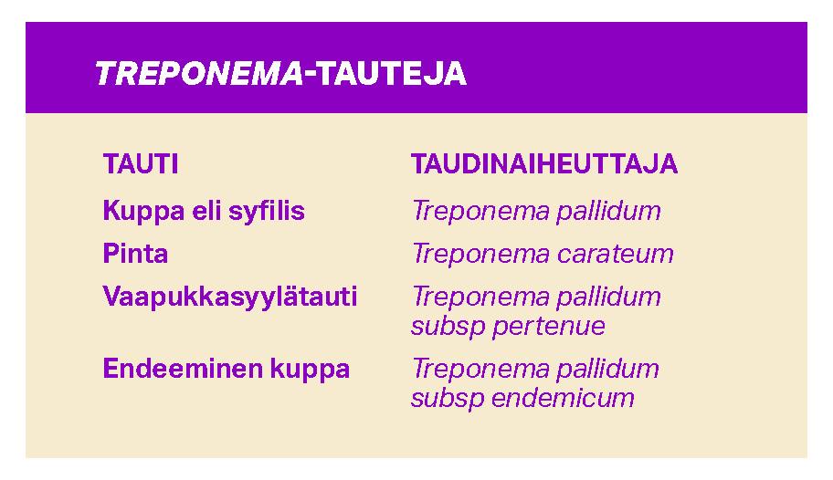 Treponema-tauteja. Kuppa eli syfilis, aiheuttaja Treponema pallidum. Pinta, aiheuttaja Treponema carateum. Vaapukkasyylätauti, aiheuttaja Treponema pallidum subsp pertenue. Endeeminen kuppa, aiheuttaja Treponema pallidum subsp endemicum.