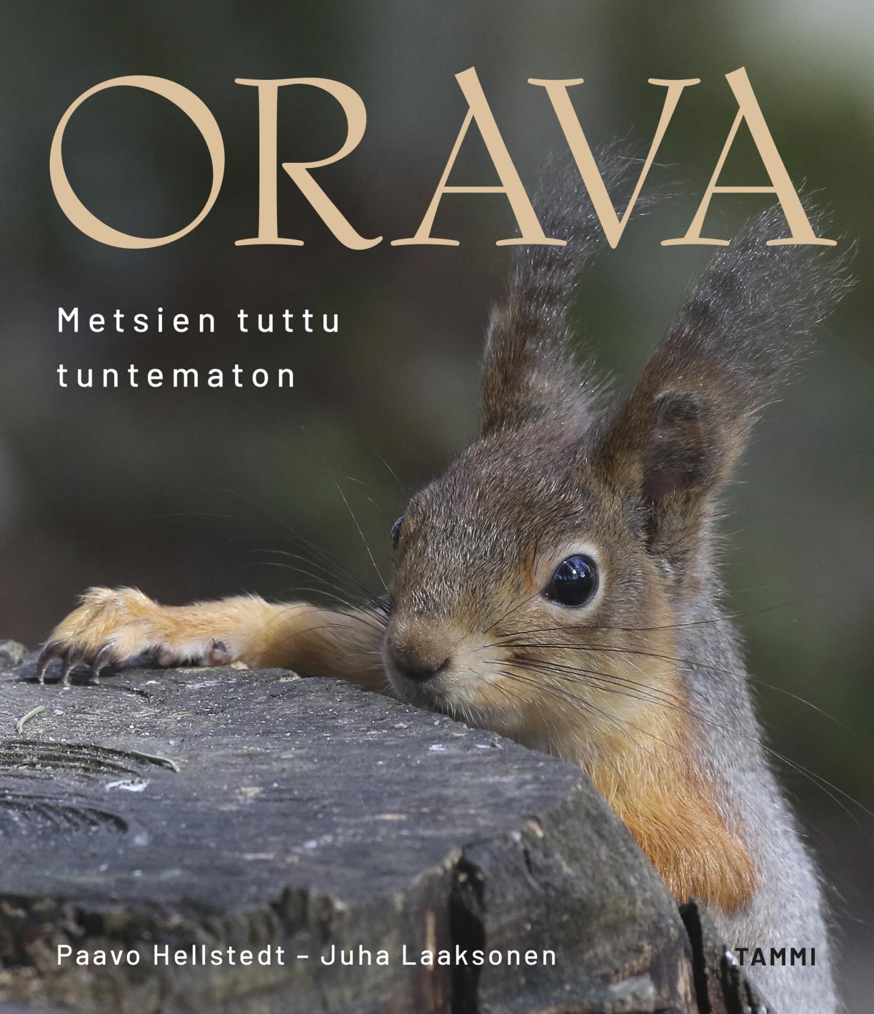 Orava, metsien tuttu tuntematon -kirjan kansi.