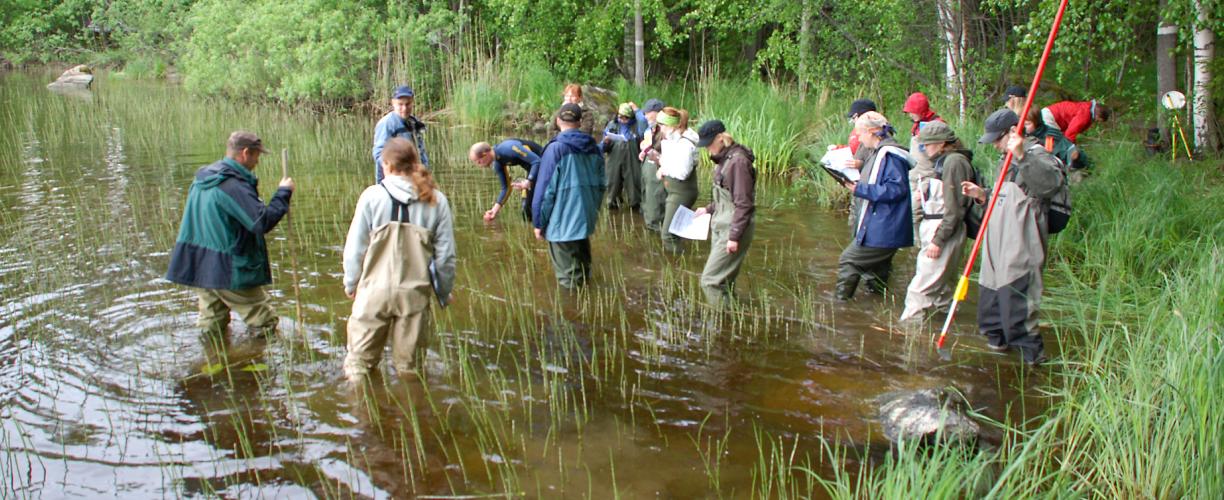 Parikymmentä ihmistä erilaisissa kahluuasuissa seisoo vedessä aivan lähellä rantaa. Osalla on käsissään tutkimusvälineitä ja papereita.