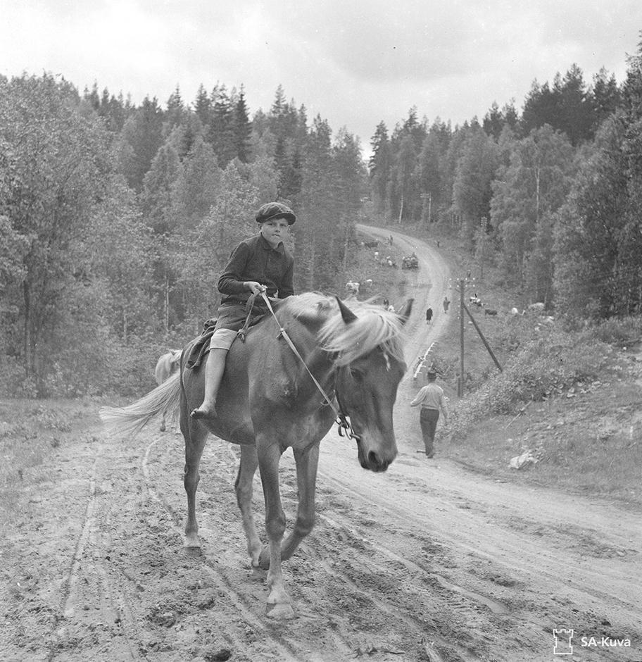 Mustavalkoinen valokuva, jossa poika ratsastaa hevosella metsän keskellä kulkevaa hiekkatietä pitkin.