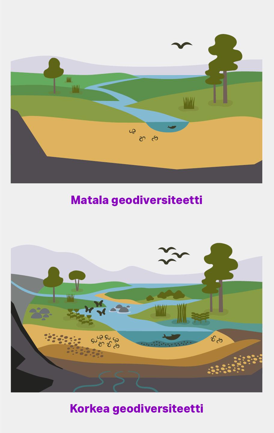 Kaksi kuvaa samasta maisemasta niin, että niissä on erityyppisiä geologisia muodostumia ja muita luontoelementtejä. Vasemmalla on matalan geodiversiteetin maisema, jossa on lähinnä kallioperä ja yhdenlaista maaperää, joki, kahta erilaista kasvityyppiä, kala ja pari eliötä maaperässä. Oikealla on korkean geodiversiteetin maisema, jossa joki on leveämpi ja siinä on sivuhaaroja, kallio- ja maaperä ovat monimuotoisempia ja kasvillisuutta sekä eläimistöä on runsaammin ja useampia eri lajeja.