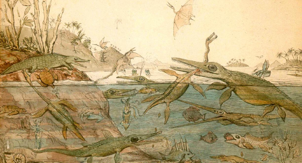 Pehmeäsävyinen maalaus, jossa erilaisia vesi- ja maaeläimiä sekä pari lentävää liskoa parveilee avarassa maisemassa. Suurin osa eläimistä muistuttaa hieman krokotiilia: ne ovat vihertäviä ja niillä on pitkä kuono.