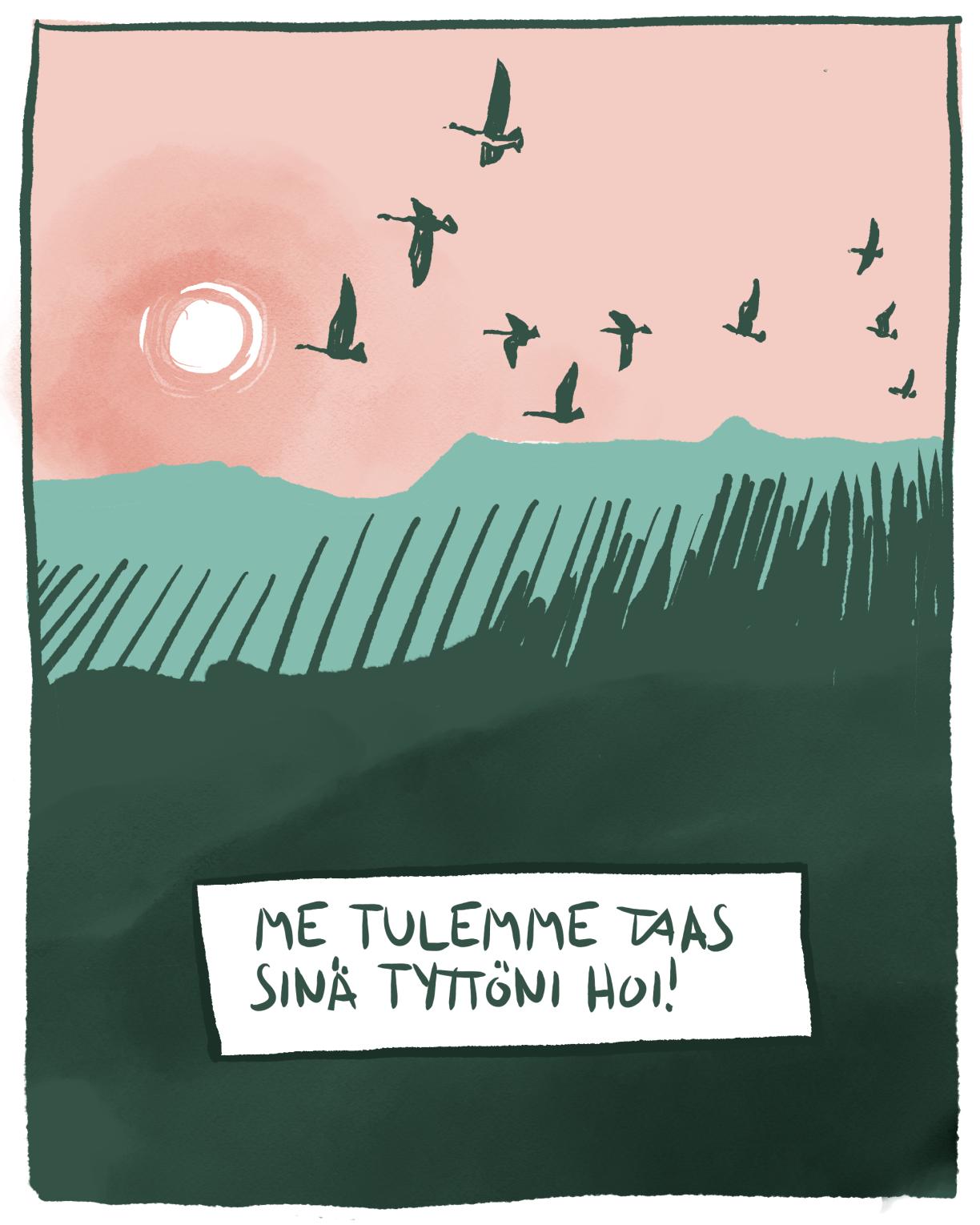 Auringonnousu tai -lasku ja lintuja lentämässä horisontissa. Teksti: Me tulemme taas sinä tyttöni hoi!