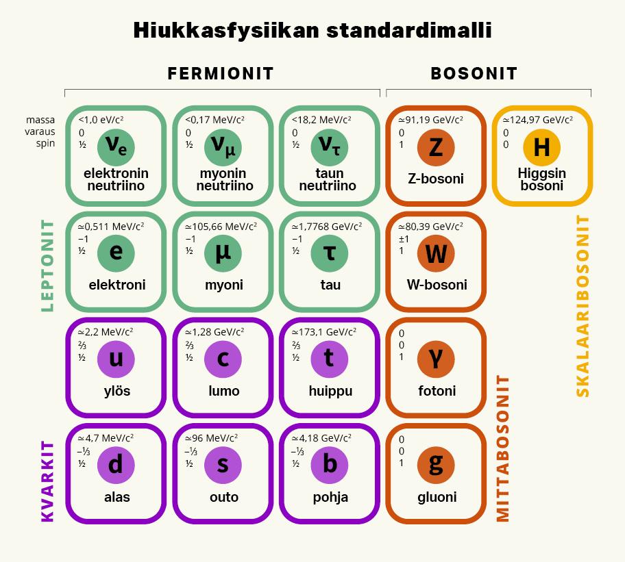 Hiukkasfysiikan standardimalli. Hiukkaset jaetaan fermioneihin ja bosoneihin. Fermionit puolestaan jaetaan leptoneihin ja kvarkkeihin, bosonit mittabosoneihin ja skalaaribosoneihin. Leptoneihin kuuluu elektronin neutriino, myonin neutriino, taun neutriino, elektroni, myoni ja tau. Kvarkkeihin kuuluu ylös, alas, lumo, huippu, alas, outo ja pohja. Bosoneihin kuuluu Z-bosoni, W-bosoni, fotoni ja gluoni. Skalaaribosoneihin kuuluu ainoastaan Higgsin bosoni.