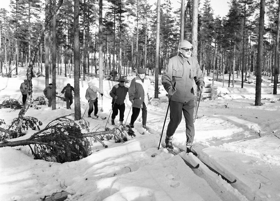 Mustavalkoinen valokuva, jossa mies hiihtää mäntymetsässä.