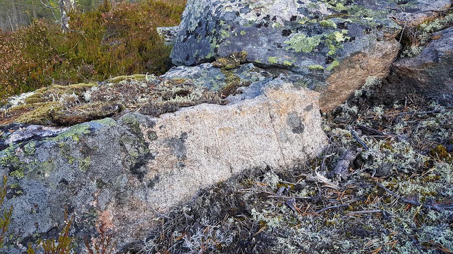 Kaksi suurta vaaleanpunertavaa kiveä metsän kasvuston keskellä.