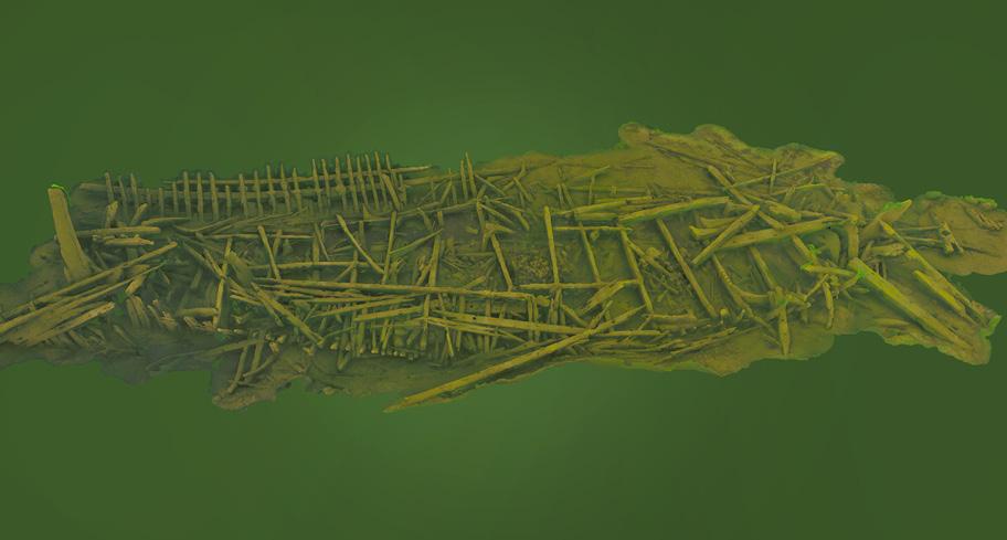 Tasaisen vihreällä taustalla on ruskea hylky, joka koostuu erilaisista hajallaan makaavista puupölkyistä ja muusta irtaimesta aineksesta.