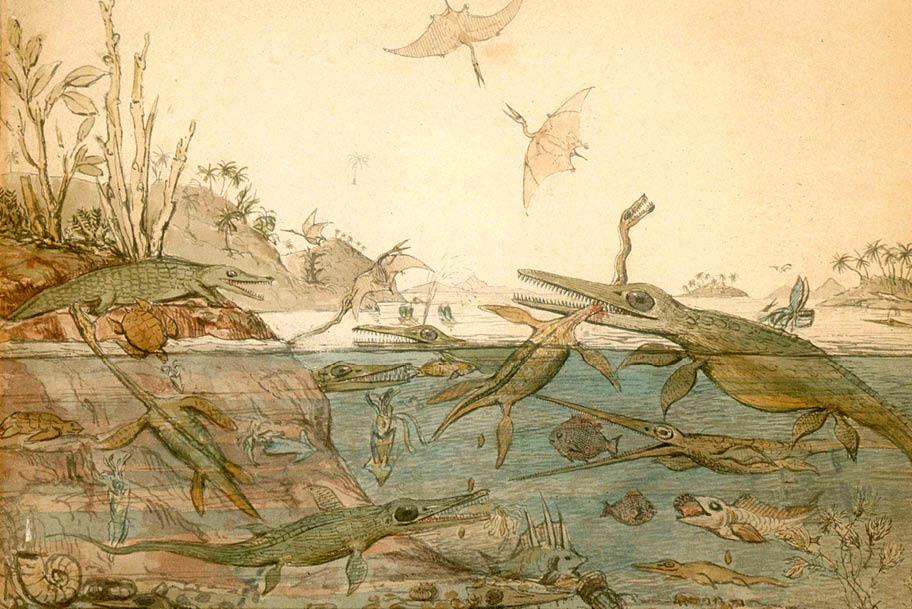 Pehmeäsävyinen maalaus, jossa erilaisia vesi- ja maaeläimiä sekä pari lentävää liskoa parveilee avarassa maisemassa. Suurin osa eläimistä muistuttaa hieman krokotiilia: ne ovat vihertäviä ja niillä on pitkä kuono.