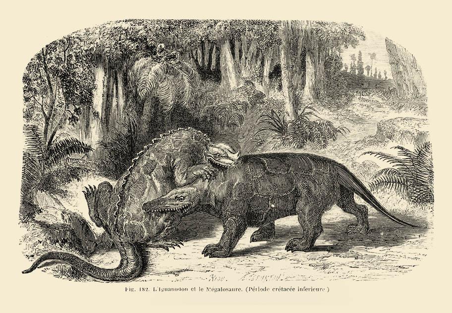 Yksityiskohtainen, mustavalkoinen piirros tai grafiikanlehti, jossa on kaksi pitkäkuonoista ja -häntäistä liskoa. Toinen puree toista lonkkaan, toinen niskaan. Taustalla näkyy tiheää metsikköä ja pensaikkoa.