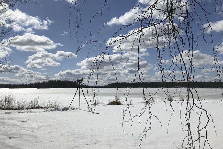 Avara talvimaisema. Etualalla on lunta ja pieniä pensaita, taaempana luminen järvenselkä ja metsänreuna. Lumessa seisoo kolmijalalla kiikari.